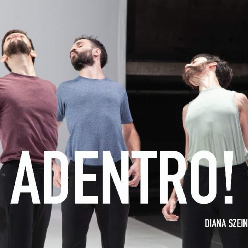 ADENTRO/ DIANA SZEINBLUM