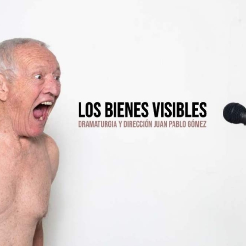LOS BIENES VISIBLES/ JUAN PABLO GÓMEZ